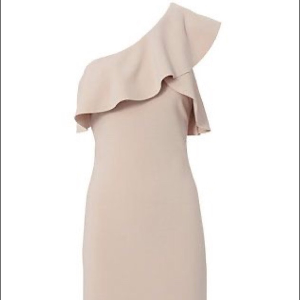Elizabeth and James Jerard Dress